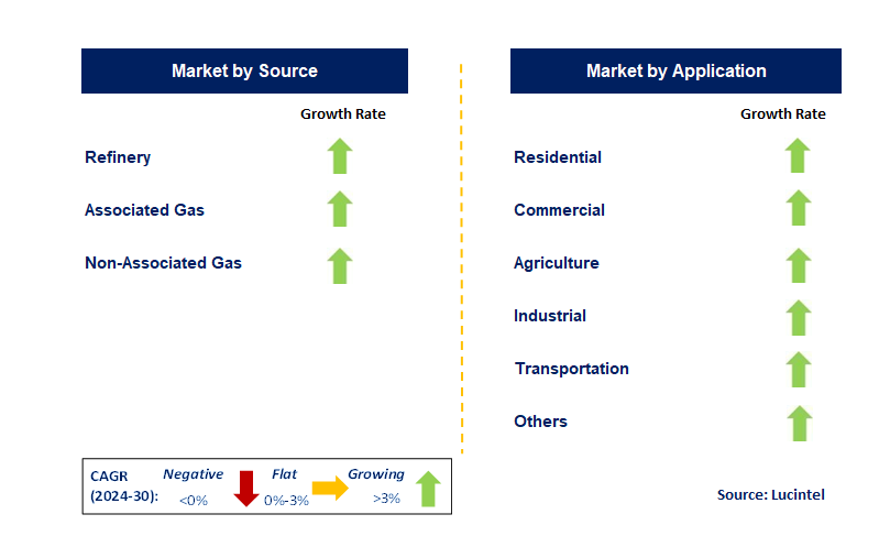 Liquefied Petroleum Gas by Segment